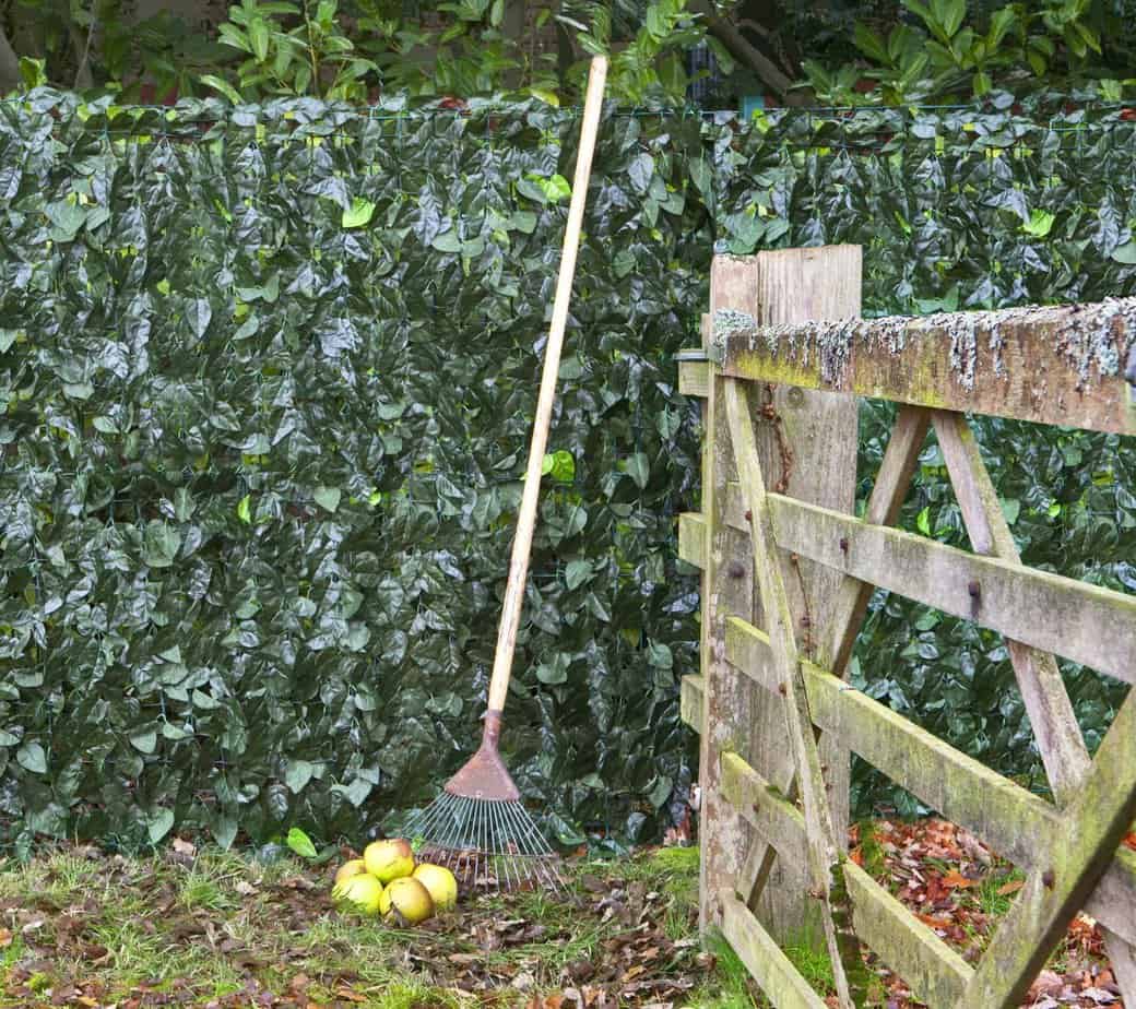 artificial ivy hedge