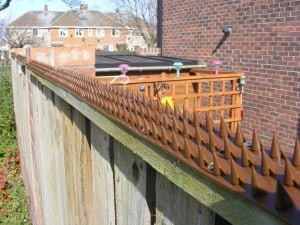 wall fence spikes to prevent cats walking on fence