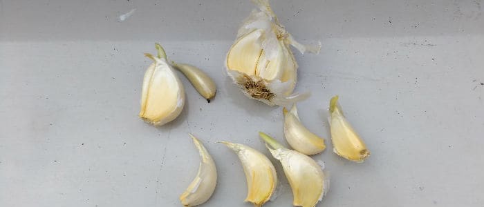 garlic cloves