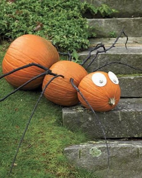 Forget 'Spiderman' this is Spider Pumpkin