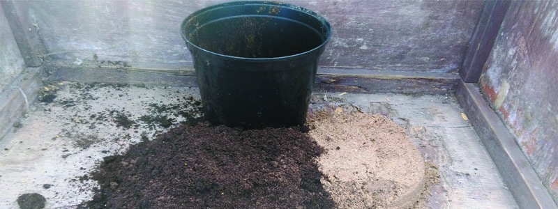 mix compost and sand 50/50 to improve drainage