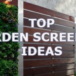 Garden screening ideas from plants to fences, trellis and lattice ideas