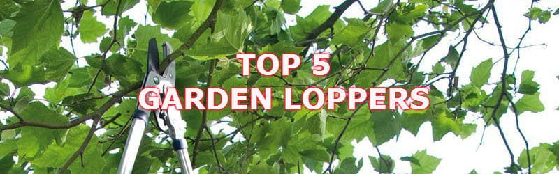 best garden loppers