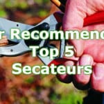 top 5 best secateurs for all round pruning
