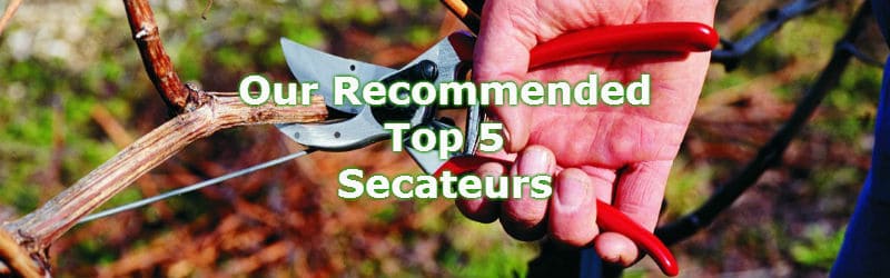 top 5 best secateurs for all round pruning