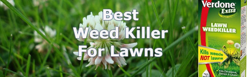 Best weed killer for lawns