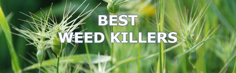 best weed killers reviewed