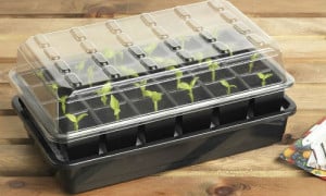 Garland self watering propagator review