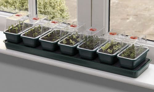 super7 self watering propagator is designed to fit onto the windowsill in your home. It features a self watering feature which keeps the soil moist for better germination.
