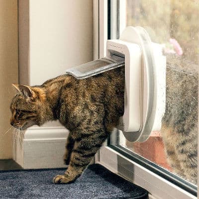 Sureflap microchip cat flap review