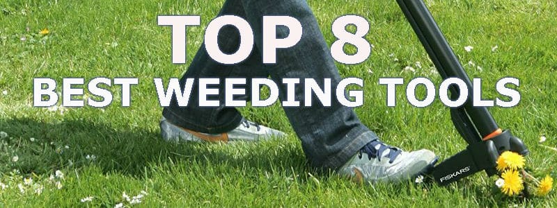 Best Weeding Tools - Top 8