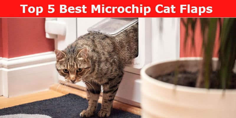 Microchip cat flap reviews