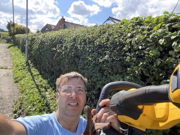 Some hawthorn hedge that the DeWalt 18v cordless hedge trimmer cuts through no problem