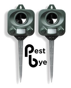 pestbye cat repeller - our best pick