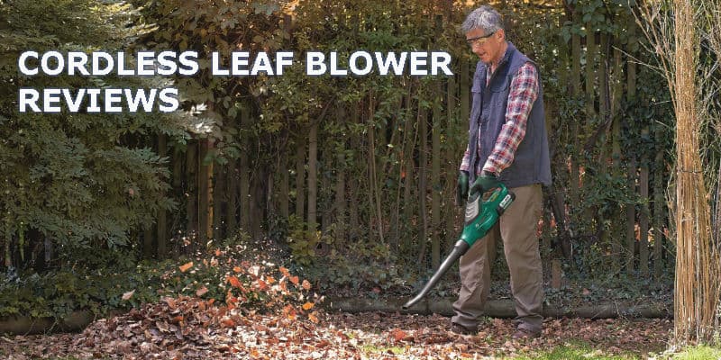 cordless leaf blower reviews