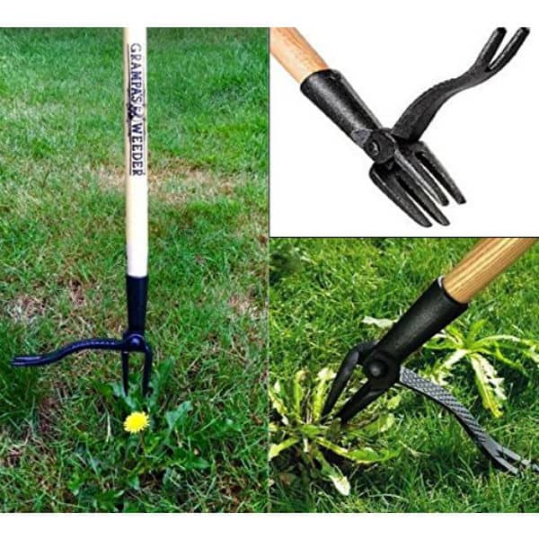 grampas weeder classic gift useful gift idea | Pyracantha.co.uk