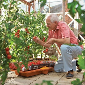 Hozelock growbag waterer.