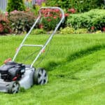 Best Lawn Mower - Lawn Mower Reviews