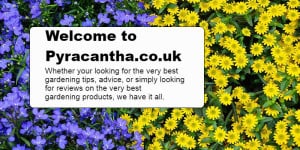 Pyracantha.co.uk, Discover the latest gardening advice, tips as well as the very best gardening product reviews