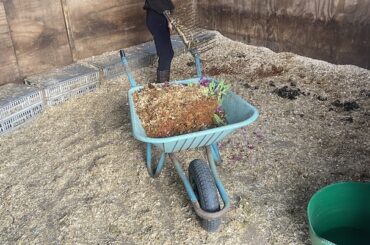 The best wheelbarrows for gardening, mucking out and building sites tested over several years