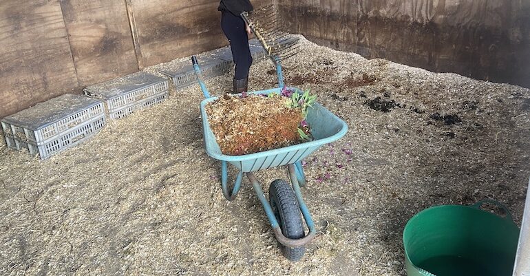 The best wheelbarrows for gardening, mucking out and building sites tested over several years