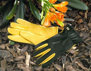 Gold Leaf Dry Touch Gloves