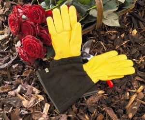 Gold Leaf Tough Touch Gloves Review