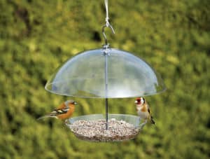 Squirrel Proof Hanging Dome Bird Feeder Review