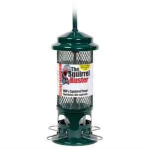 The Squirrel Buster Review
