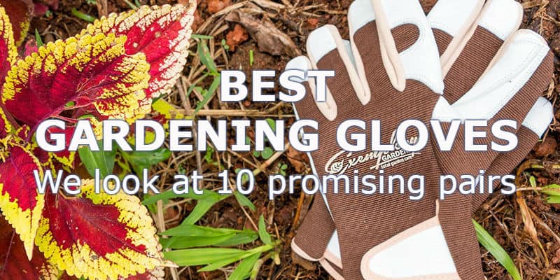 Best gardening gloves -Top 10 Reviews