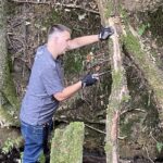 Testing the best pruning saws to see how they compare when comparing quality, comfort and how well and fast they cut through branches