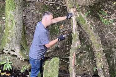 Testing the best pruning saws to see how they compare when comparing quality, comfort and how well and fast they cut through branches