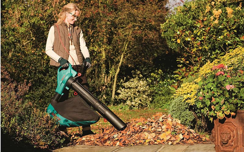 Black and Decker BEBLV300 Garden Vacuum and Leaf Blower with Back