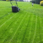 The best lawn mower for making stripes compared