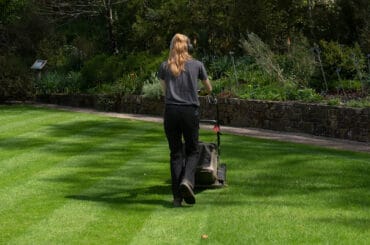 Best lawn mower for making stripes on the lawn. Hayter and Hyundai both came out on top creating the best stripes.