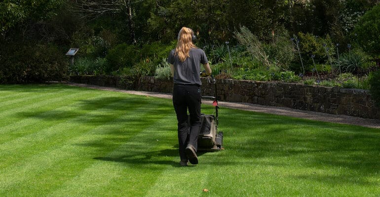 Best lawn mower for making stripes on the lawn. Hayter and Hyundai both came out on top creating the best stripes.