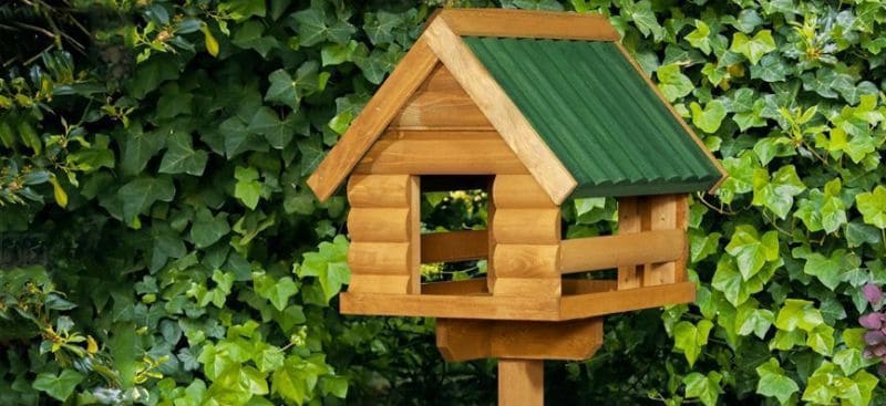 Best Bird tables - Top 5 Models and how to choose the best design
