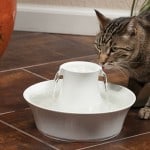 Best Cat Water Fountain Review - `Top 5 Models and Buyers Guide
