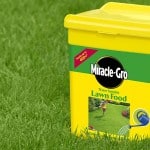 Best Lawn Feed - Top 6 fertilisers for applying dry and in water