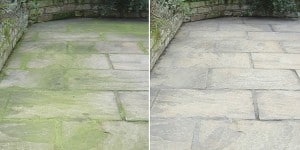 Best Patio Cleaner Reviews - 5 greats products for removing moss. algae and stains without a pressure washer
