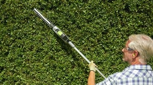 Gtech ht20 long reach