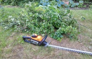 TackLife Cordless Hedge Trimmer conclusion