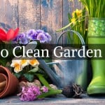 How to Clean Garden Tools - step by step guide