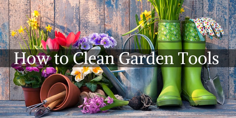 How to Clean Garden Tools - step by step guide