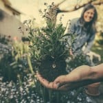 5 ways the garden at your new home will keep you healthy