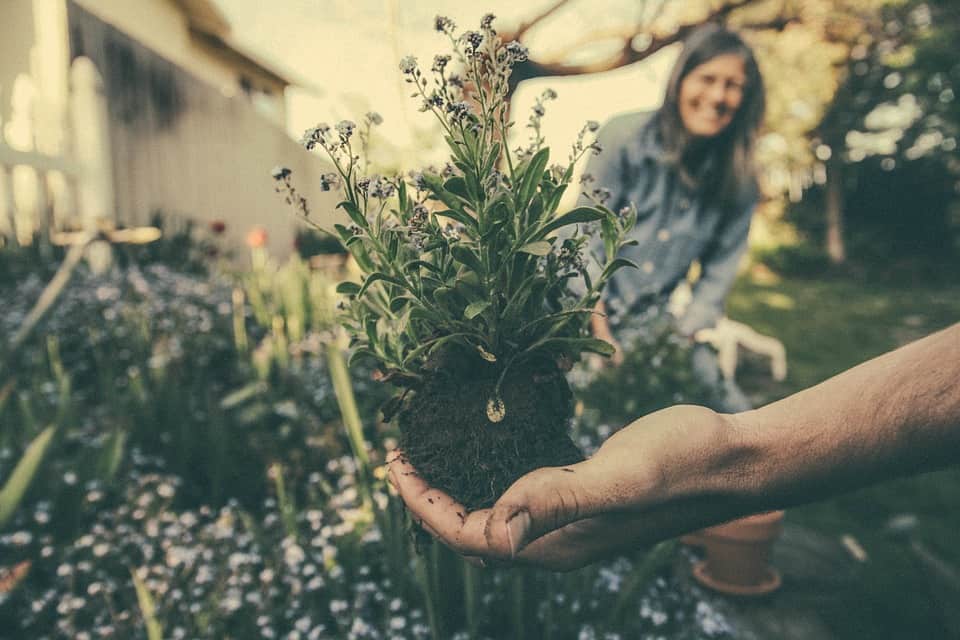 5 ways the garden at your new home will keep you healthy