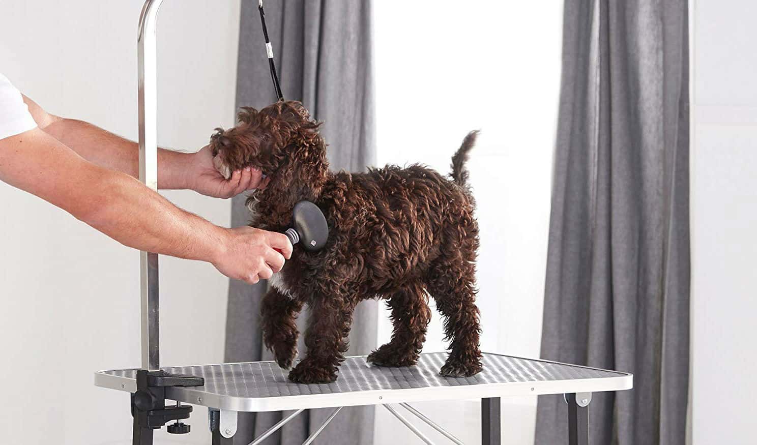 Best Pet Grooming Table Reviews