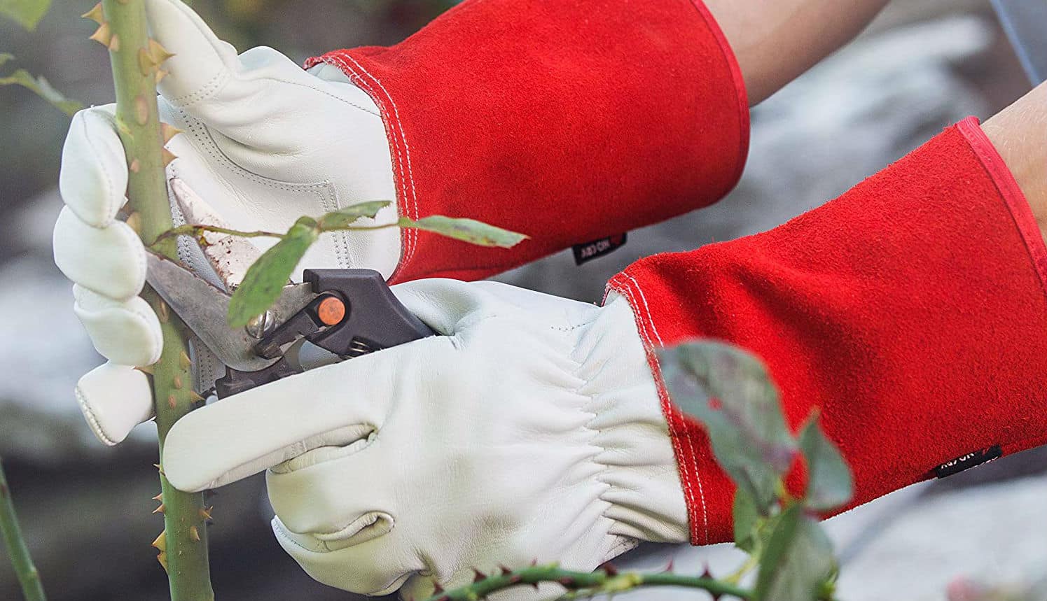 Best gloves for roses and brambles - We compare 5 great pairs and what to look for before buying