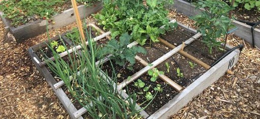 How to make a raised bed - 2ND Way