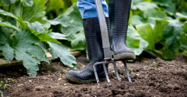 Best Garden Fork - After hours of research, see which made the grade. We started with 12 forks and after many hours of research were able to bring to you the 5 of best garden forks. The best are made from forged steel which strong ash handles.